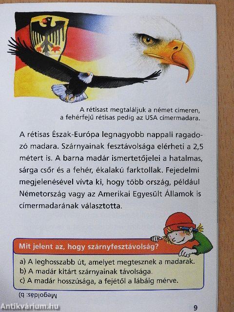 Ragadozó madarak