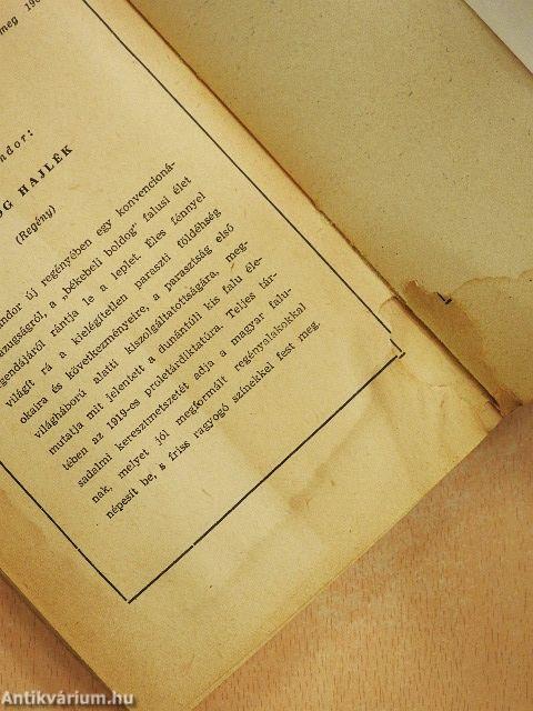 Egy magyar nábob I-II.