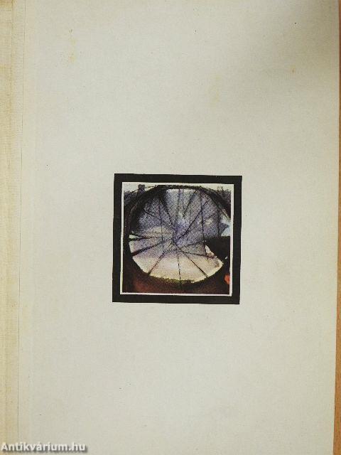 Ezt látják a csillagok