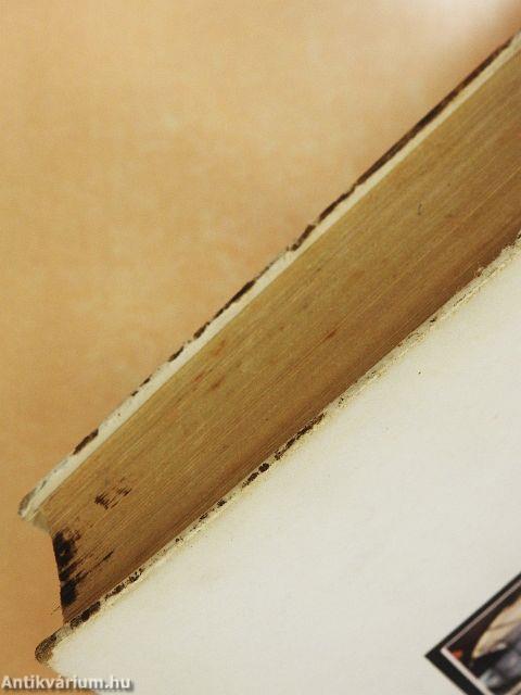 Ezt látják a csillagok