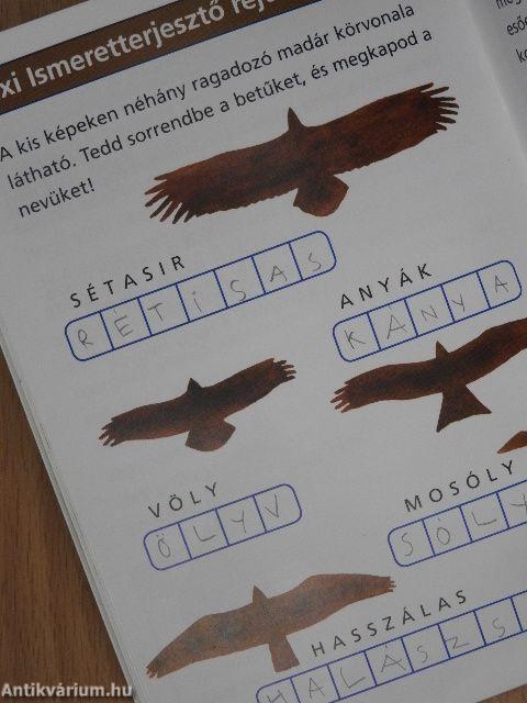 Ragadozó madarak