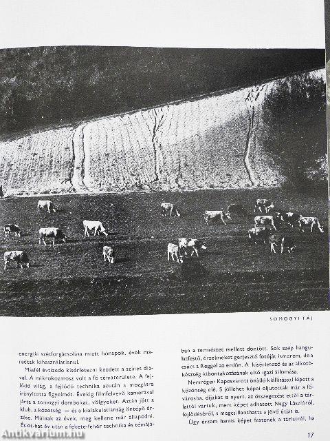 Fotó 1971. január-december