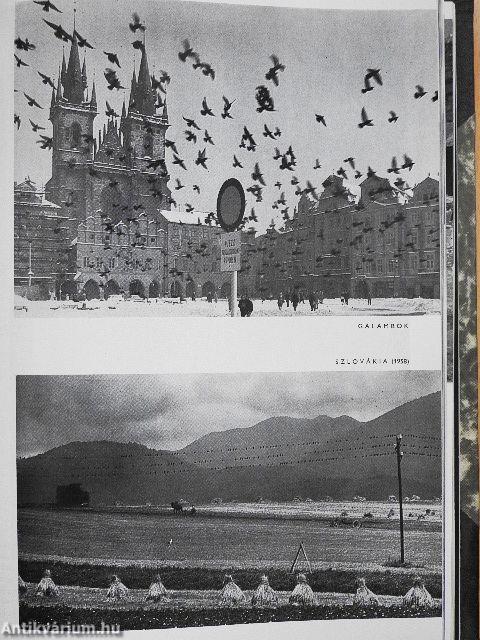 Fotó 1971. január-december