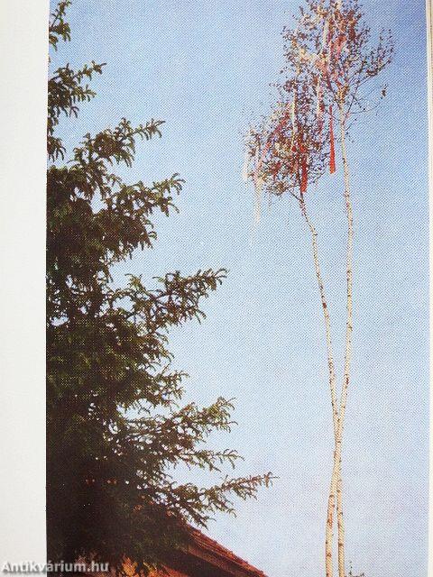 Magyar népszokások