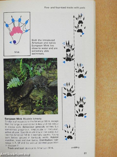 The Country Life Guide to Animals of Britain and Europe