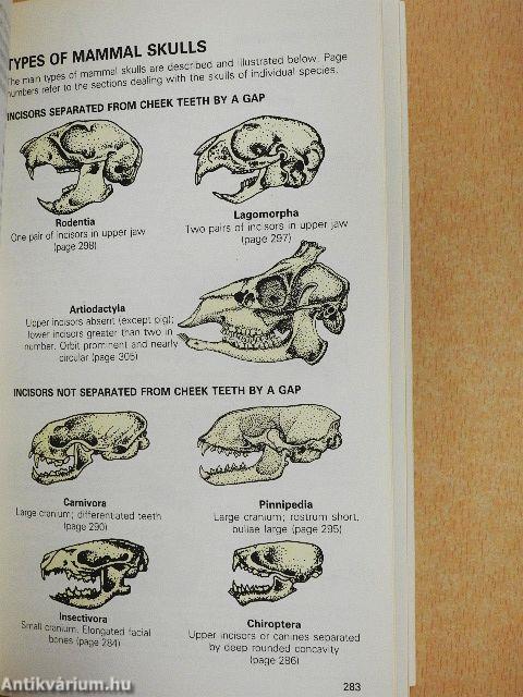 The Country Life Guide to Animals of Britain and Europe