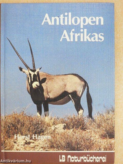 Antilopen Afrikas