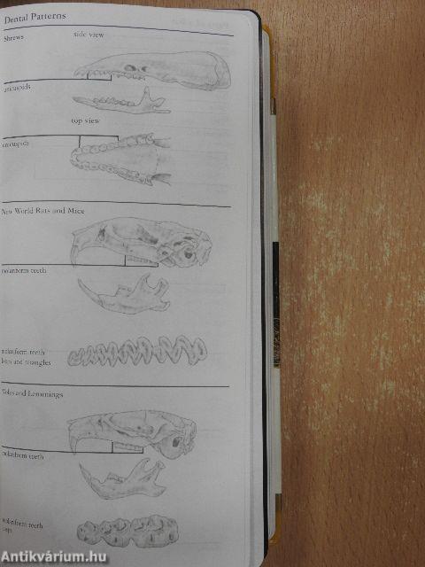 National Audubon Society Field Guide to North American Mammals
