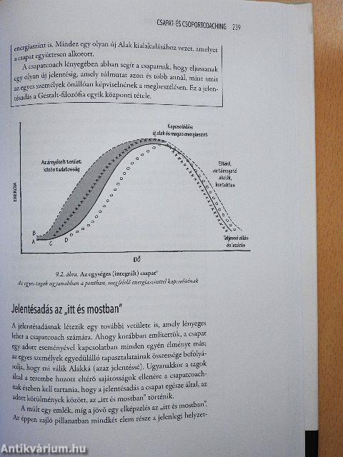 Gestalt-coaching a gyakorlatban