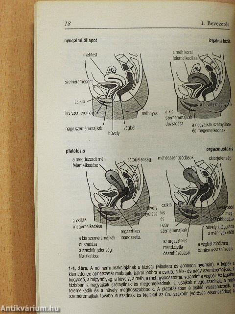 Szexuális harmónia fiatalkortól időskorig