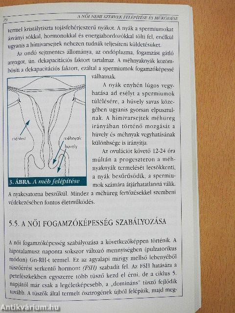 A fogamzásgátlásról
