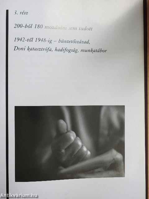 Egy évszázados ember