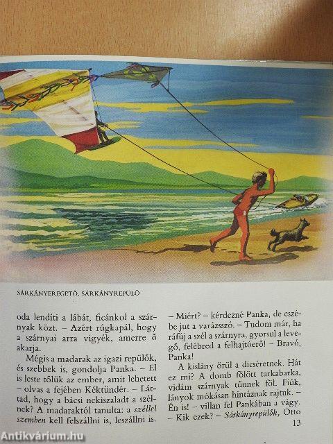 Mesélj a repülésről!