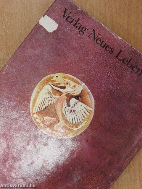 Die seltsamen Abenteuer des Parzival