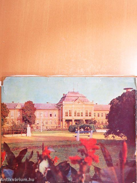 Hajdúböszörmény képekben