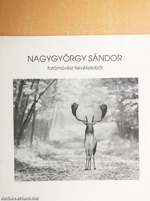 Nagygyörgy Sándor fotóművész felvételeiből