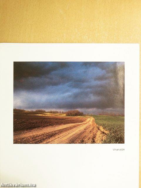 Nagygyörgy Sándor fotóművész felvételeiből