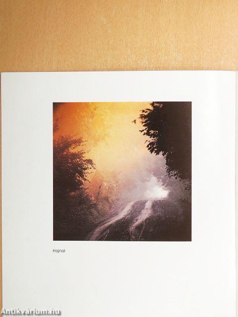 Nagygyörgy Sándor fotóművész felvételeiből