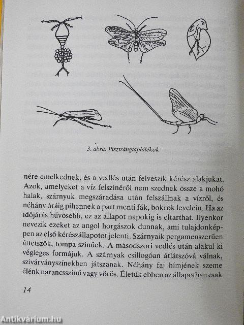 A bátorság vörös kokárdája
