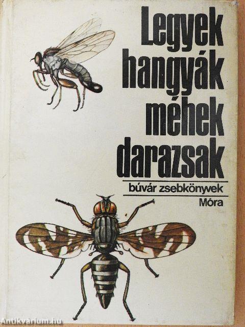Legyek, hangyák, méhek, darazsak