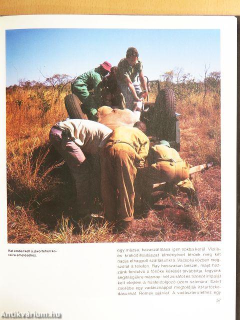 Vadászat Kudu-földön