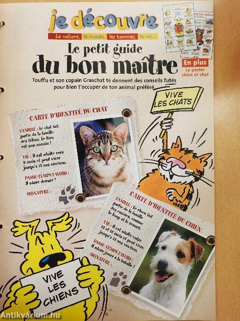 Astrapi 15. Novembre 1999