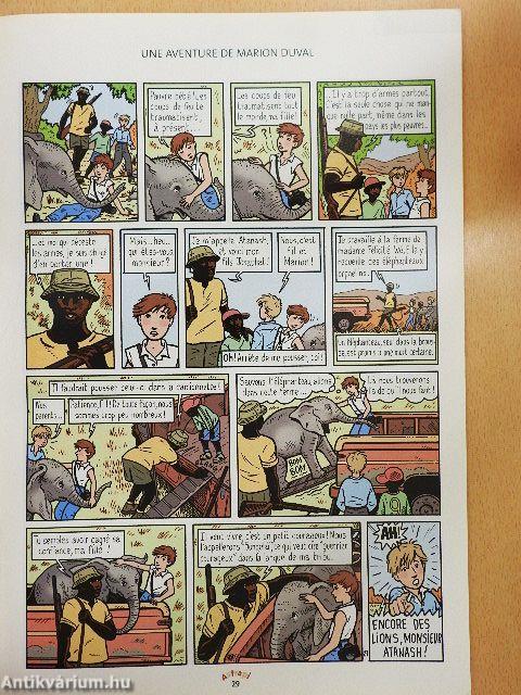 Astrapi 15. Mai 1999