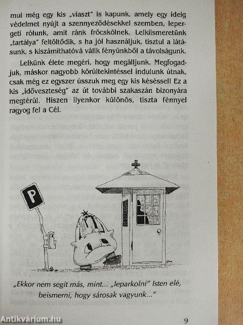 A lélek autósiskolája