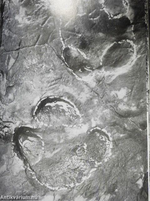 Expedíció az időben