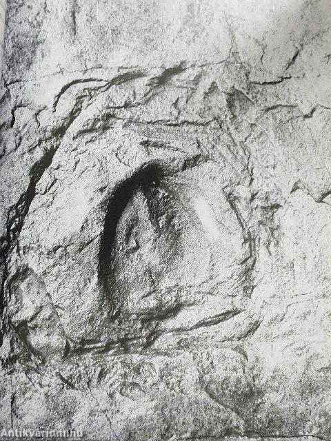 Expedíció az időben