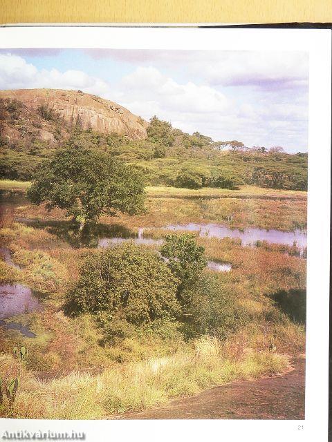 Vadászat Kudu-földön