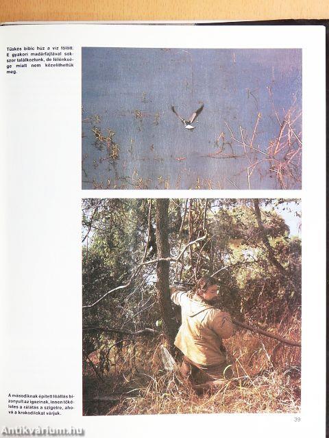 Vadászat Kudu-földön