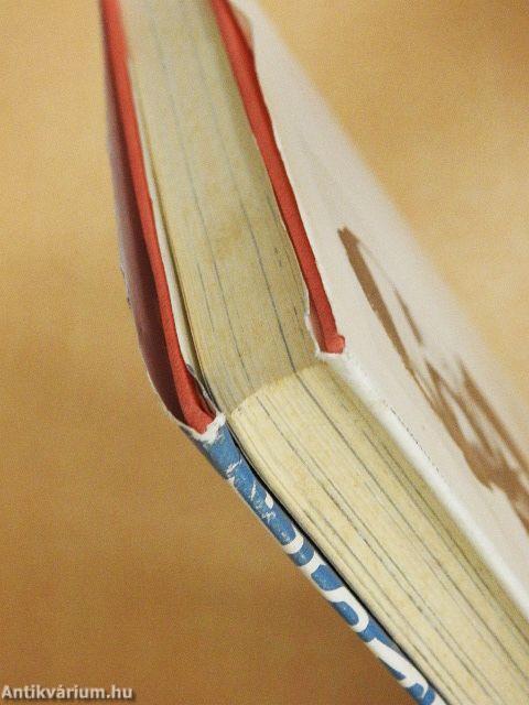 Rätselhaftes Inkareich