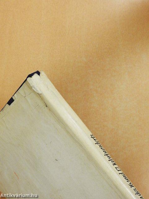 Modellbau von Schiffen des 16. und 17. Jahrhunderts