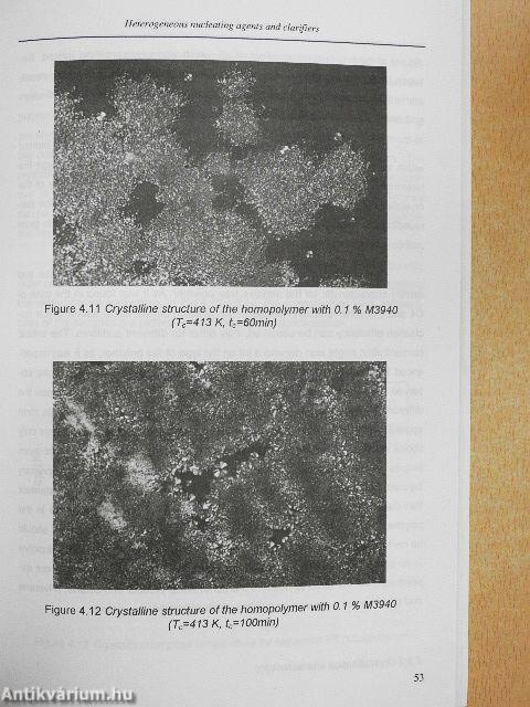 Structure Formation In Crystalline Polymers In Presence of Nucleating Agents