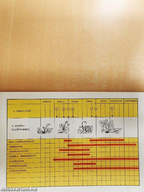A házikerti gyümölcsösök és szőlő növényvédelme