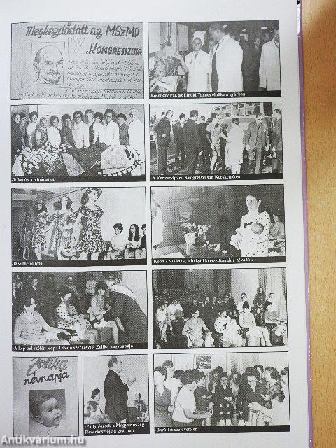 Fújt a gyár - A Nagykőrösi Konzervgyár