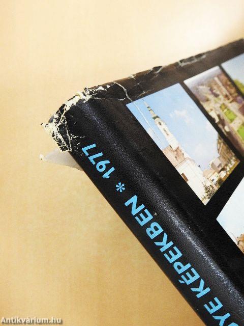 Bács-Kiskun megye képekben