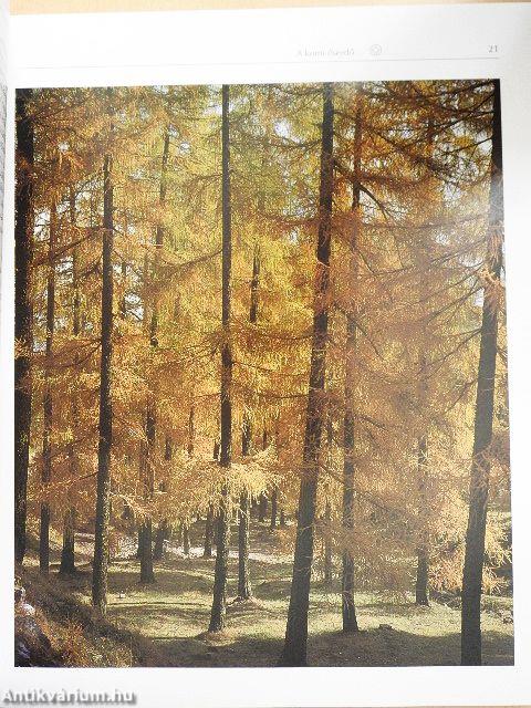 A világ természeti csodái és kultúrkincsei - Oroszország és Kelet-Ázsia