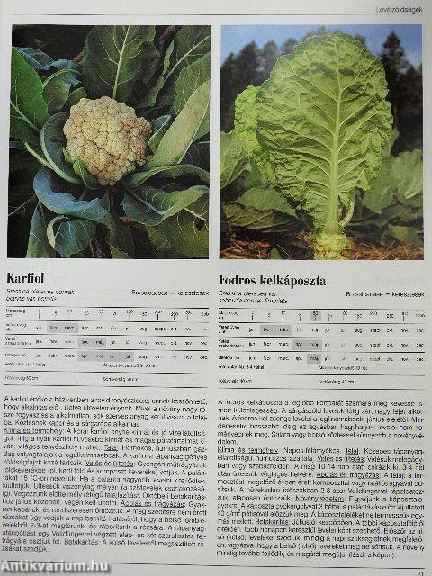 Haszonnövények ábécéje