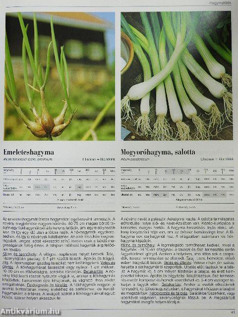 Haszonnövények ábécéje
