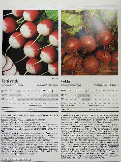 Haszonnövények ábécéje