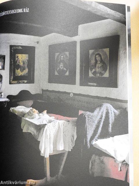 Múzeumcafé 2008. augusztus-szeptember