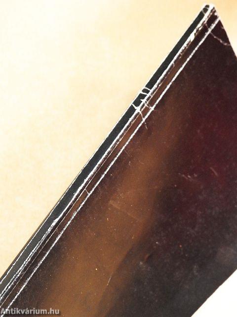 Magyarország gazdaságtörténete I.