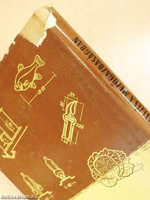 Gazdaságos méretezés a mezőgazdaságban