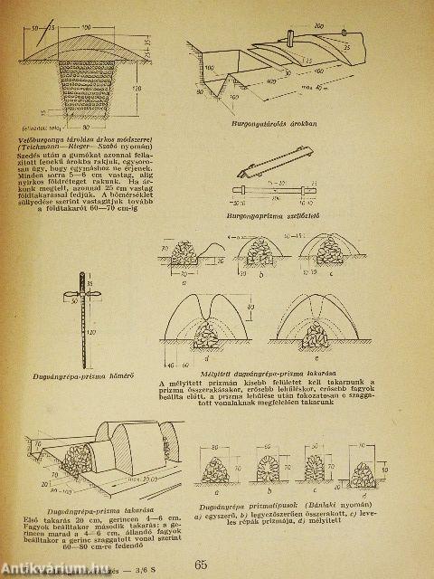 Gazdaságos méretezés a mezőgazdaságban
