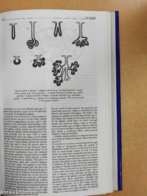Black's Medical Dictionary