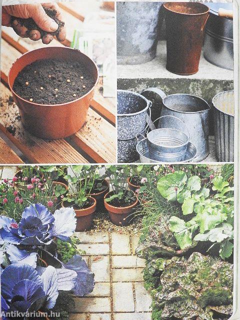Carol Klein's Grow Your Own Veg Journal