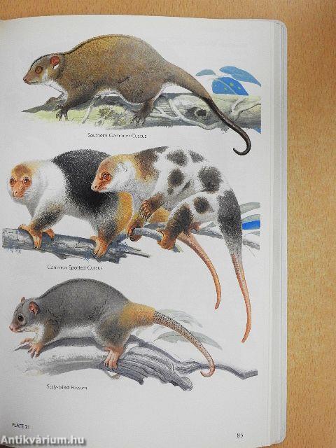 A Field Guide to the Mammals of Australia 