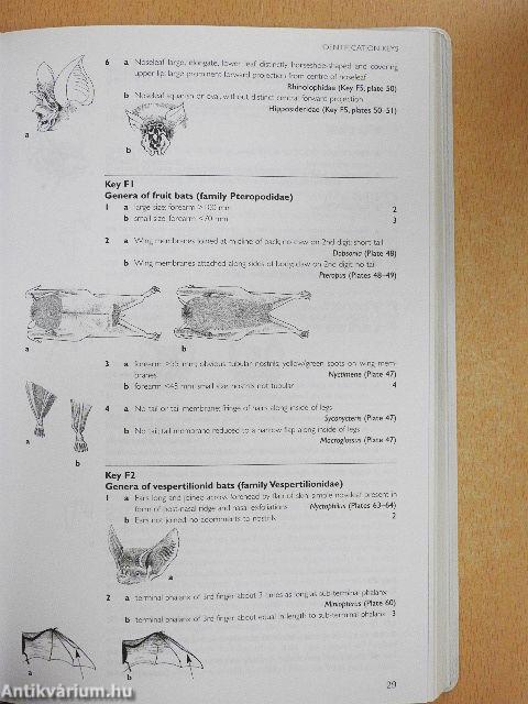A Field Guide to the Mammals of Australia 